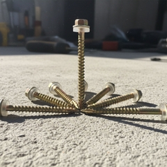 [Dinosaur] Vít tôn gỗ