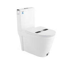 [Rangos] Bồn cầu vệ sinh bằng sứ một khối RG-8029