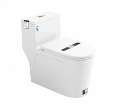 [Rangos] Bồn cầu vệ sinh bằng sứ một khối RG-8094