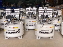 Máy nén khí không dầu Pegasus 1HP 40L TM-OF750-40L