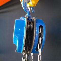 Pa Lăng Xích Kéo Tay Dosu 2T-3M 2 Tấn 3M