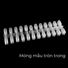Bịch Móng Tập Sơn (10 vỉ 240 móng) - Form Tròn