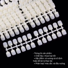 Bịch Móng Tập Sơn (10 vỉ 240 móng) - Form Vuông