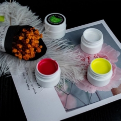 Set Gel Vẽ Móng 12 Màu Painting Gel – Gel Vẽ Nét, Ombre, Nail Art Chuyên Nghiệp