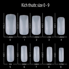 Móng úp chân dài