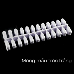 Bịch Móng Tập Sơn (10 vỉ 240 móng) - Form Tròn