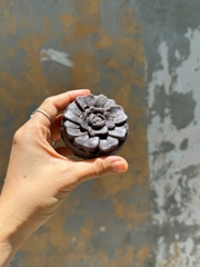 Xà bông Thương