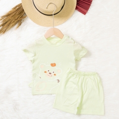 Bộ cotton trẻ em - bé trai B005 9/36 TS03