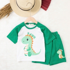 Bộ cotton trẻ em - bé trai B003 2/10 TS12 Lô 1
