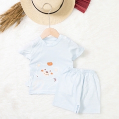 Bộ cotton trẻ em - bé trai B005 9/36 TS03