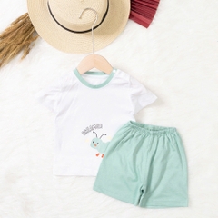 Bộ cotton trẻ em - bé trai B005 9/36 TS03