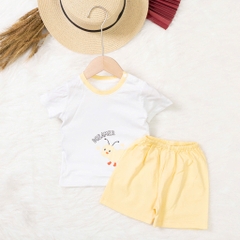 Bộ cotton trẻ em - bé trai B005 9/36 TS03