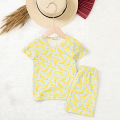 Bộ cotton trẻ em - bé trai B004 2/10 TS20