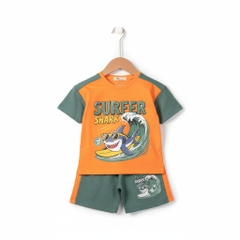 Bộ cotton trẻ em - bé trai B003 2/10 TS12 Lô 2