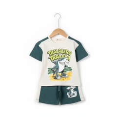 Bộ cotton trẻ em - bé trai B003 2/10 TS12 Lô 2