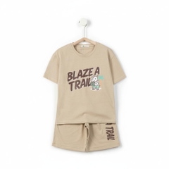 Bộ cotton trẻ em - bé trai B001 8/14 TS09