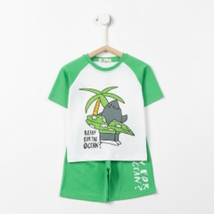 Bộ cotton trẻ em - bé trai B003 2/10 TS12