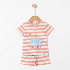 Bộ cotton trẻ em - bé trai B005 9m/36m TS03 Lô 4