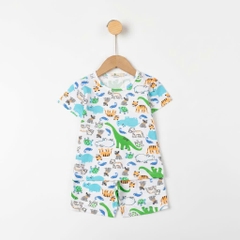 Bộ cotton trẻ em - bé trai B004 2/10 TS20