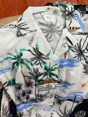 Bộ cotton trẻ em - bé trai B001 10/16 PH1331 lô 2
