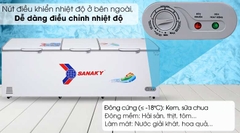 Tủ đông Sanaky 900 lít VH-1199HY