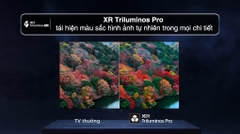 Google Tivi OLED Sony AI 4K 55 inch K-55XR80