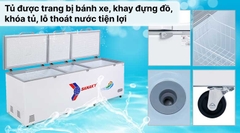 Tủ đông Sanaky 900 lít VH-1199HY