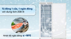 Tủ đông đứng Hòa Phát 208 Lít HPF UAH6208
