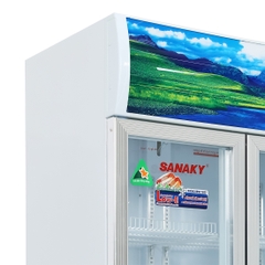 Tủ Mát Sanaky VH-6009HP