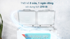 Tủ đông Sanaky 270 lít TD.VH3699A2KD