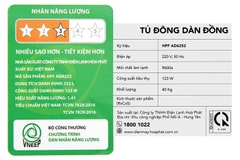 Tủ đông Hòa Phát 252 lít HPF AD6252