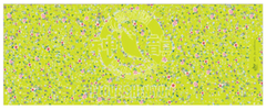Khăn quàng dài - Hoa xanh lá (Celestial Flowers)