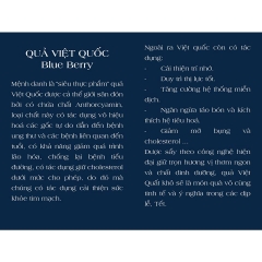 Việt Quất Sấy Khô Only Nature USA 120gr