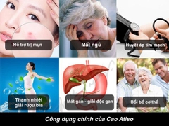 Cao mềm Atiso Đà Lạt cao cấp - hủ 1kg