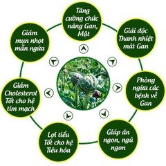 Cao Atiso Mềm 200gr -[Ngọc Duy]