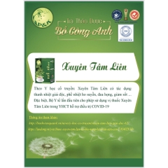 Trà Bồ Công Anh Xuyên Tâm Liên - Tăng đề kháng hộp 40 túi lọc