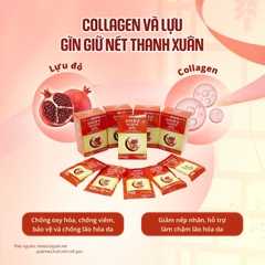 Nước hồng sâm lựu Omija Red Ginseng Pomegranate Collagen 365 Gold Hộp 30 gói x 70ml