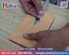 Mô hình thực hành điều dưỡng bệnh nhân cao cấp
