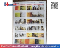 Kính hiển vi soi mạch máu DN-880 độ phóng đại 1200X | Huê Lợi