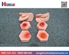 Mô hình thực hành điều dưỡng bệnh nhân cao cấp