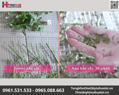 Tủ Sấy Thuốc Đông Y Cao Cấp 30 Tầng 60 Khay Thép 304 Độ Bền Cao