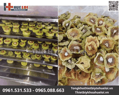 Máy Sấy Thuốc Đông Y Đa Năng 22 Tầng | Huê Lợi
