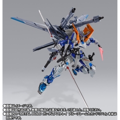 METAL BUILD I.W.S.P. [Integrated Weapons Striker Pack]