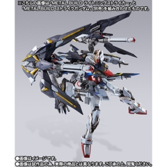 METAL BUILD Lightning Striker