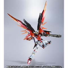 METAL BUILD Destiny Gundam (Heine Ver)