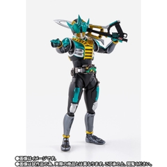 S.H.Figuarts (SHINKOCCHOU SEIHOU) Kamen Rider Zeronos Altair Form