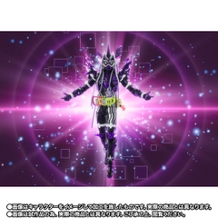 S.H.Figuarts Kamen Rider Genm Musou Gamer