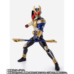 S.H.Figuarts (SHINKOCCHOU SEIHOU) Kamen Rider Agito Trinity Form