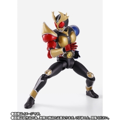 S.H.Figuarts (SHINKOCCHOU SEIHOU) Kamen Rider Agito Trinity Form