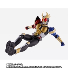 S.H.Figuarts (SHINKOCCHOU SEIHOU) Kamen Rider Agito Trinity Form